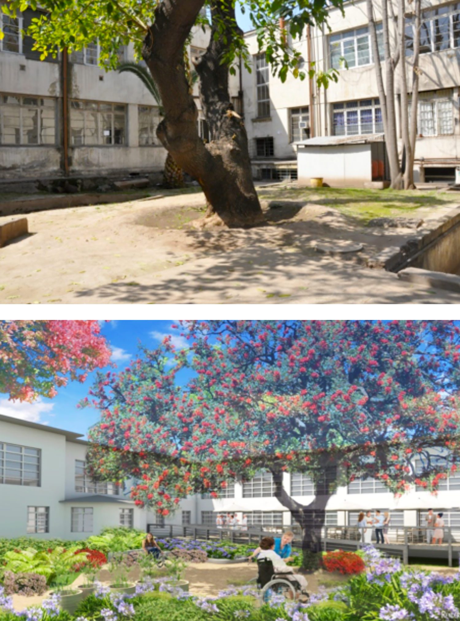 Patio-El-Ceibo-Antes-y-Futura-propuesta