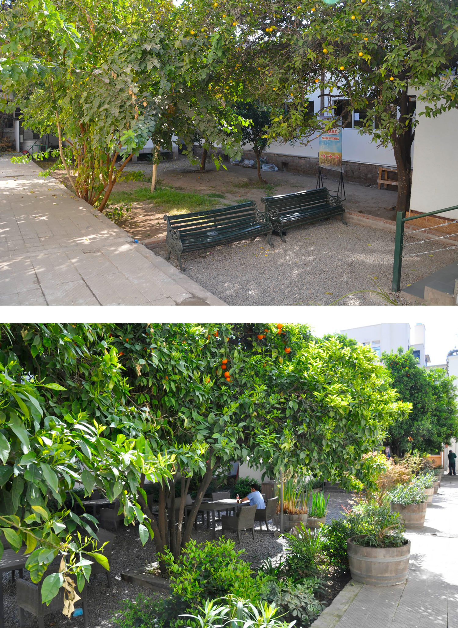 Patio-Los-Naranjos-Antes-y-Después-2