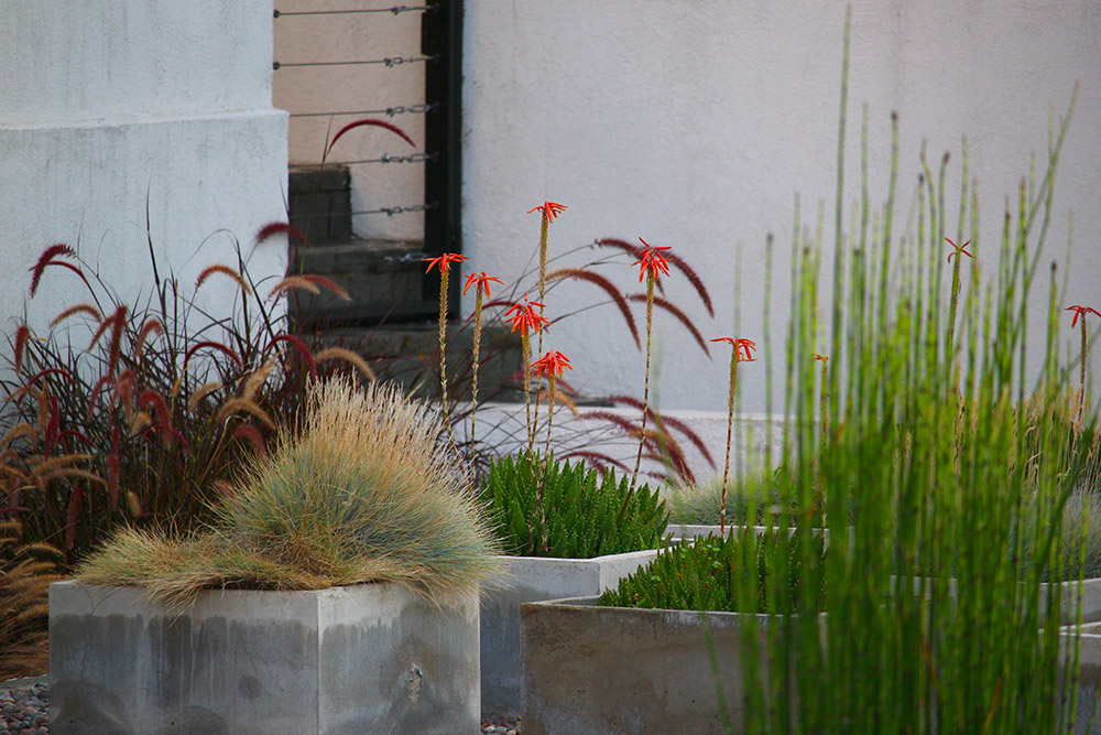 Vivienda-Carolina-Urrutia5